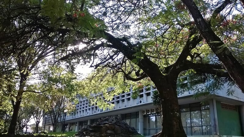 Prédio da Prefeitura de Bauru (SP), com fachada de brises de concreto, visto de dia entre as copas de árvores