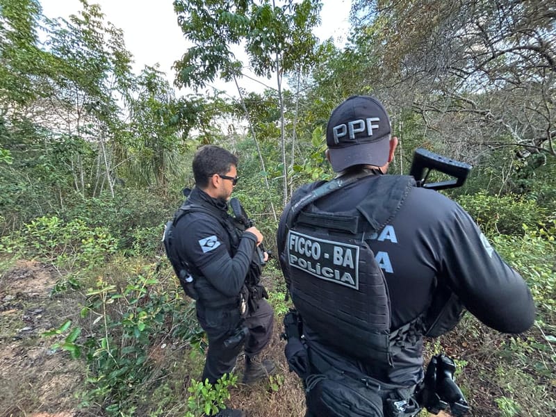 Dois agentes da FICCO Bahia, de costas e com armas, em área de mata durante a ação em Alagoas
