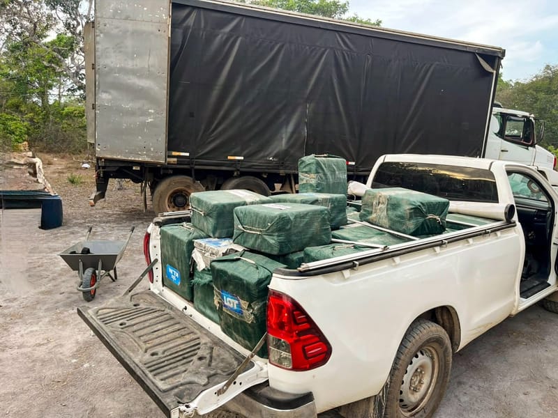 Caçamba de uma caminhonete branca carregada de fardos embrulhados em lona verde, ao lado de um caminhão baú, em terreno de terra