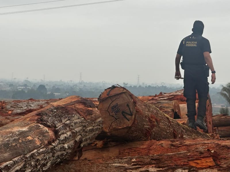 Agente da Polícia Federal, de costas, sobre uma pilha de toras de madeira avermelhada, com a paisagem enevoada ao fundo