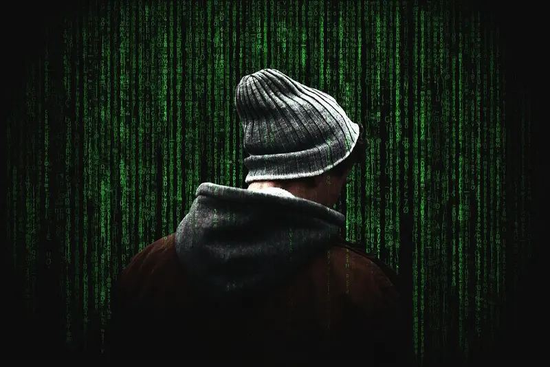 Pessoa de gorro e capuz, de costas, diante de códigos verdes em tela escura