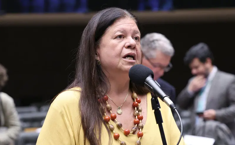 Deputada Laura Carneiro, relatora do projeto, fala ao microfone no plenário da Câmara